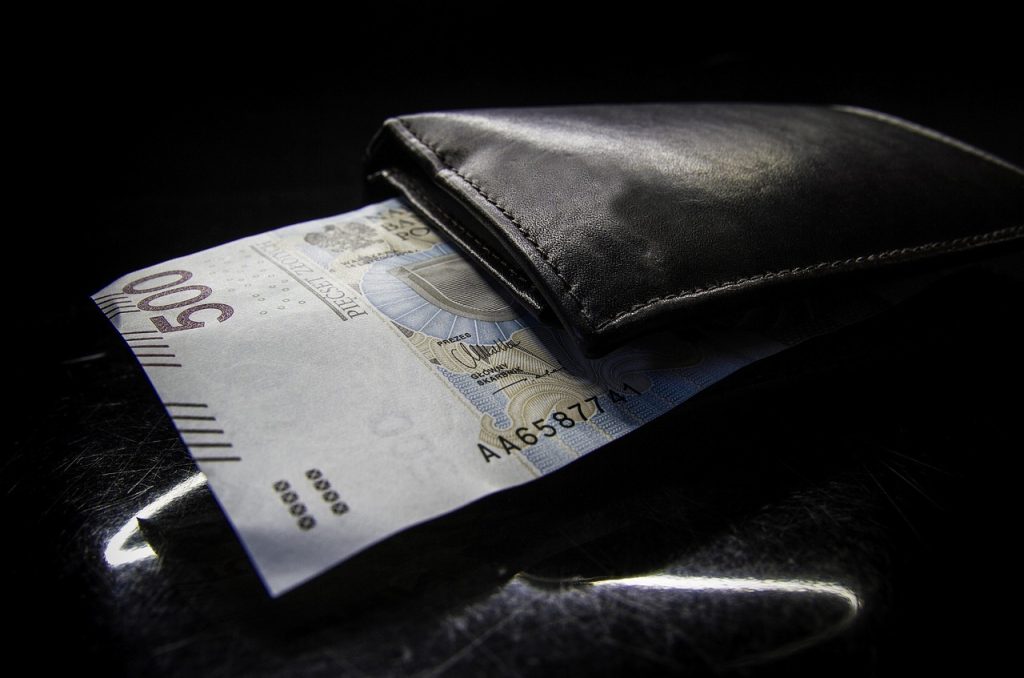 polish, zloty, 500, bills, money, cash, currency, monetary, banknote, business, finances, pln, poland, leather, wallet, black business, black money, black finance, black company
