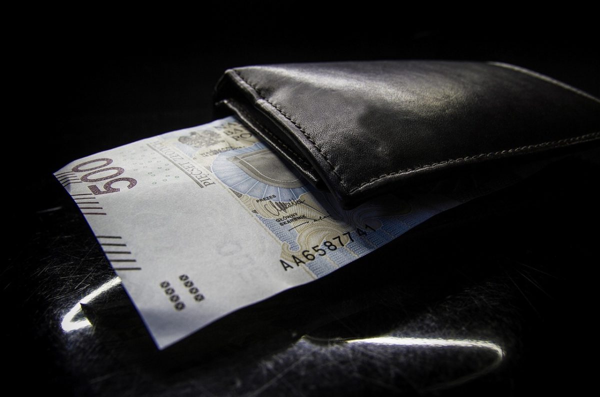 polish, zloty, 500, bills, money, cash, currency, monetary, banknote, business, finances, pln, poland, leather, wallet, black business, black money, black finance, black company