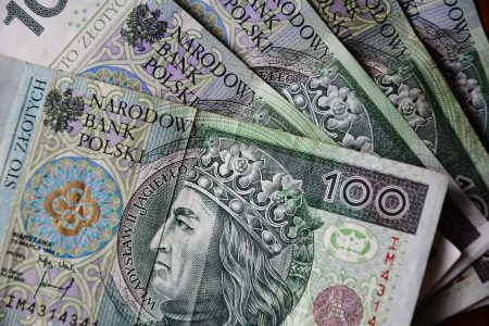 banknotes, polish zloty, currency, finances, wealth, the dollar, money making, cash, investment, savings, business, shopping, bank, coins, buck, gain, loan, golden, bill, pay, prices, gold, paper, money, finance, the ministry, reform, europe, poland, cash register, pln, hundred, taxes, customers, payment, the debt, wallet, economy, stock market, warsaw, polish banknotes, polish, means of payment, bills, sum, one hundred zlotys, to save, polish zloty, polish zloty, polish zloty, polish zloty, polish zloty, loan, loan, loan, loan, pln, pln, stock market, stock market, warsaw