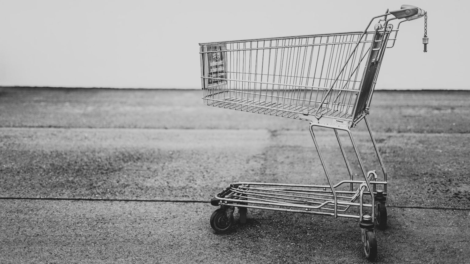 Czy sieć Action oferuje model franczyzowy? Sprawdzamy możliwości współpracy grey shopping cart
